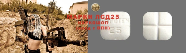 прущие грибы Алзамай