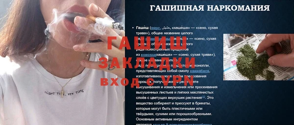 прущие грибы Алзамай
