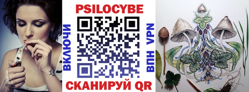 Псилоцибиновые грибы мицелий  купить закладку  hydra ссылка  Славск 